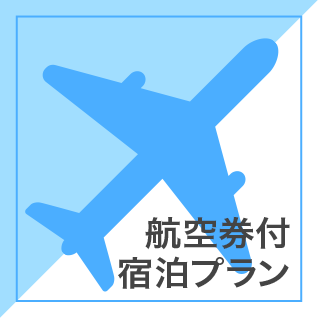 航空券ダイナミックパッケージ